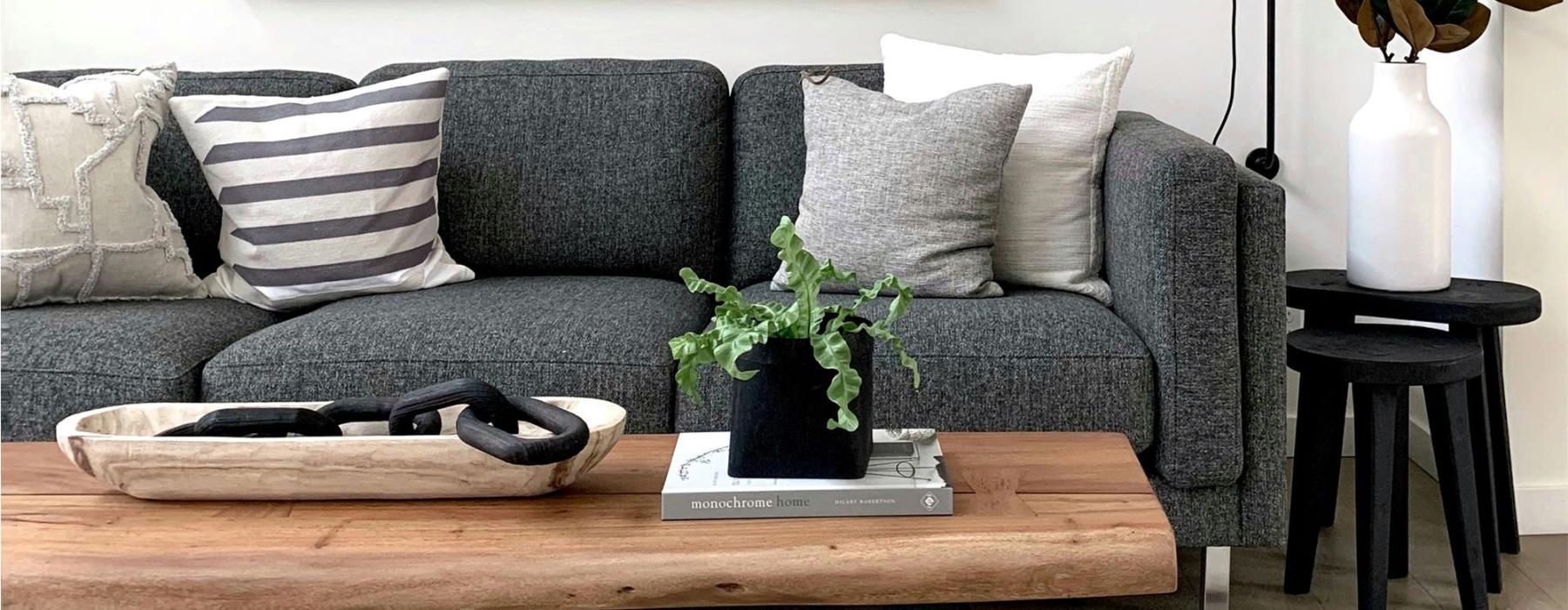 a couch with a coffee table with a plant and decor on it