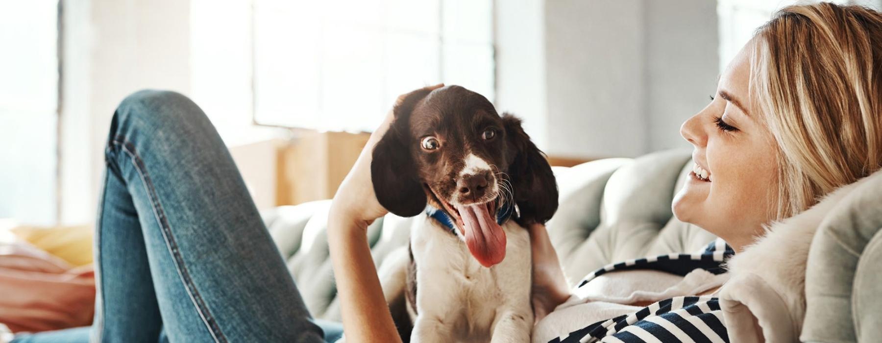 woman lies on a couch and pets her dog